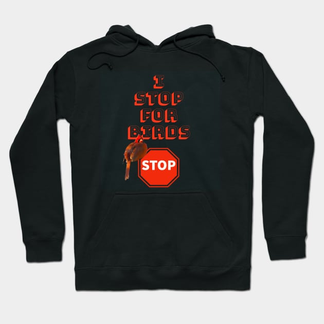 I Stop For Birds Hoodie by KathyG'sArt